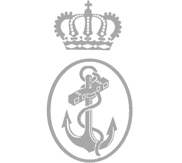 ARMADA ESPAÑOLA ARMADA ESPAÑOLA