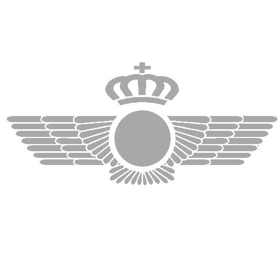 EJÉRCITO DEL AIRE EJÉRCITO DEL AIRE